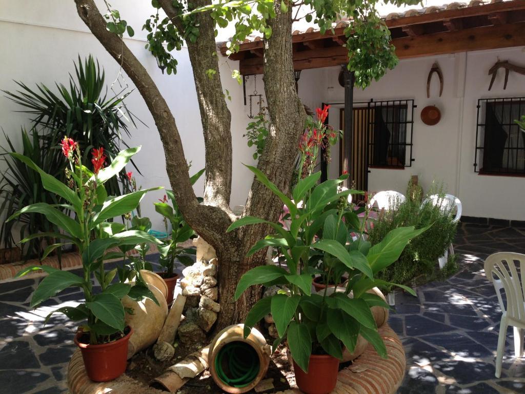 Casa Rural El Rincon Del Infante Villa de Don Fadrique Luaran gambar